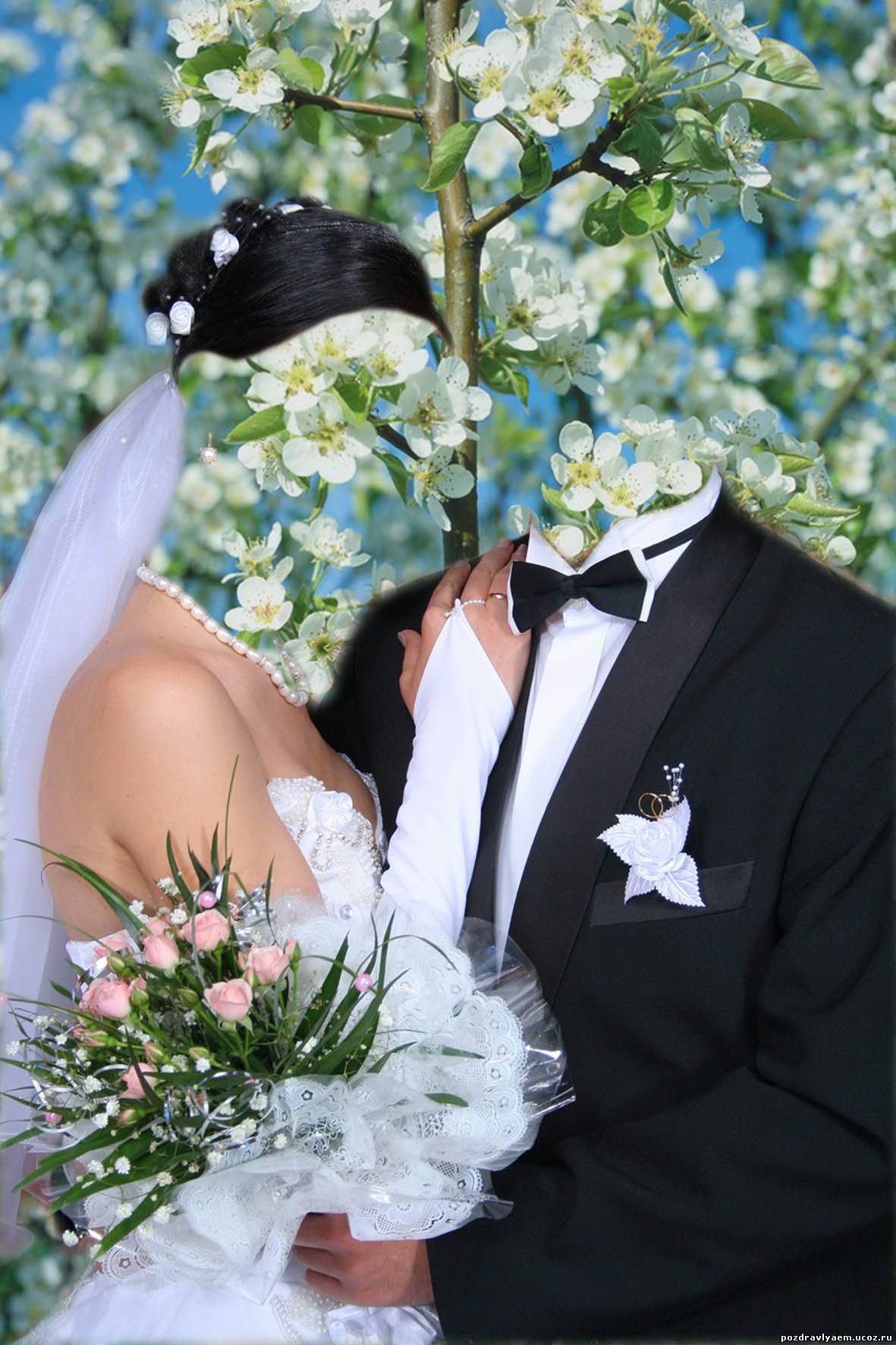 Свадебные шаблоны для фотошопа скачать торрент